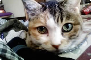 �^�} 18�� ���X