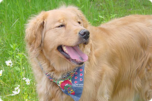 �G�� 6�� ���X