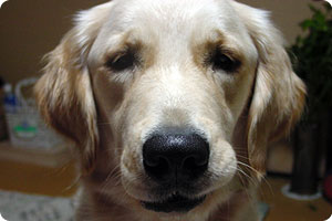 ���� 3�� ���X