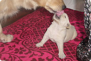 ���C ����20�� ���X