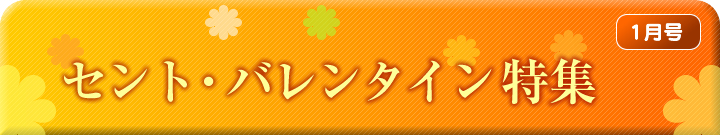 今年もやります! 2009 ウインターボーナスセール特集 12/12~12/23